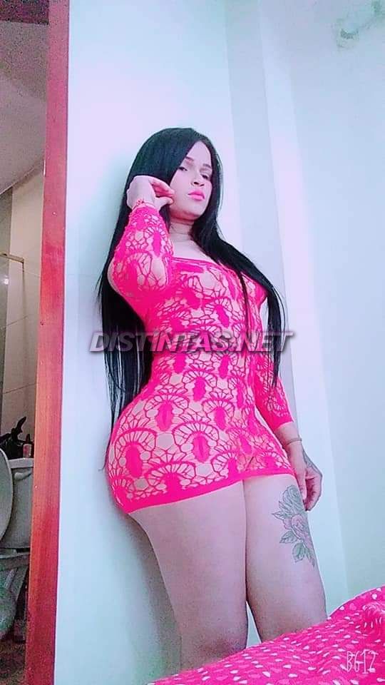 MICHELL Contreras 