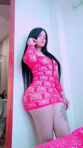 MICHELL Contreras 