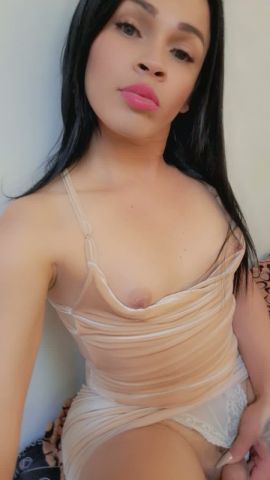 MICHELL Contreras 