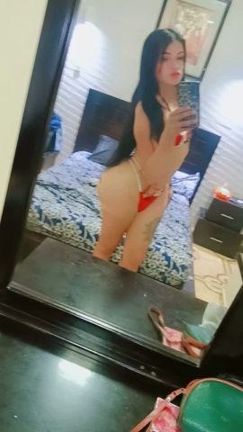 MICHELL Contreras 