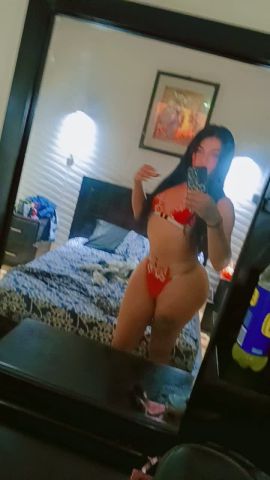 MICHELL Contreras 