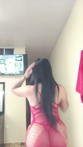 MICHELL Contreras 
