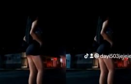 Dayanara Antin