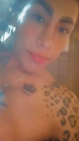 CATALINA SANTANA LEOPARDA 