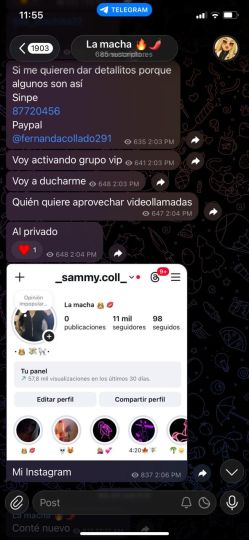 Sammy coll