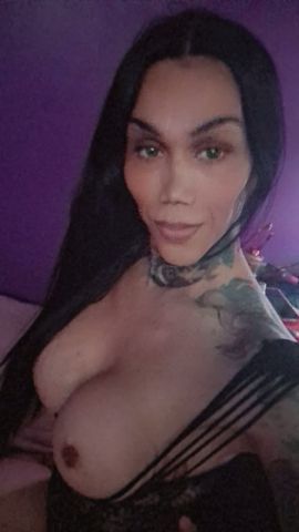 Torrez