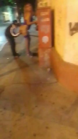 Atena Ibarra