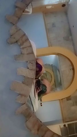 Atena Ibarra