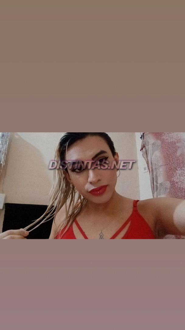 Aylen zona 4mojon 