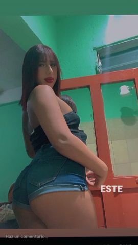  Bruna catracha