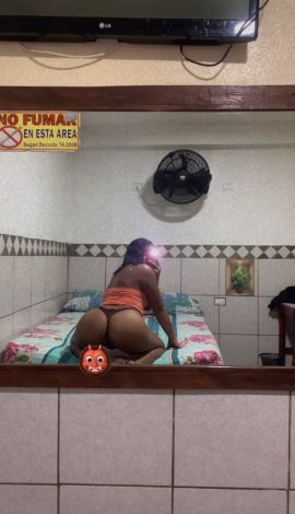  Bruna catracha