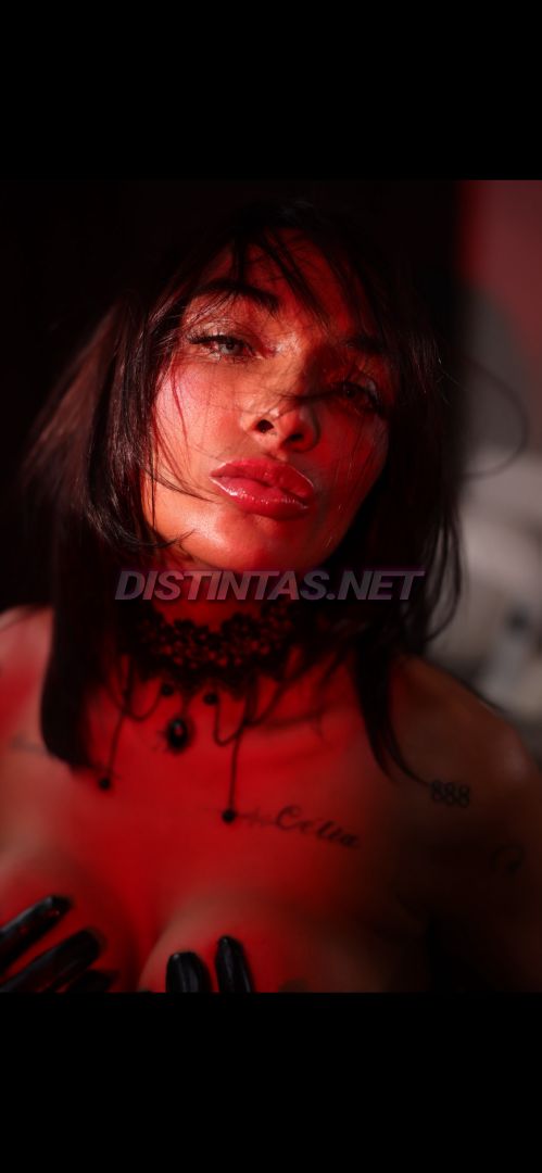 Sublime Aline Menezes 20cm