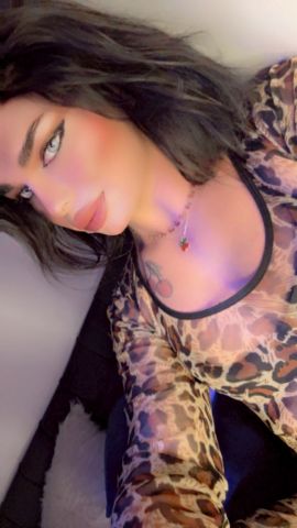 Shamous