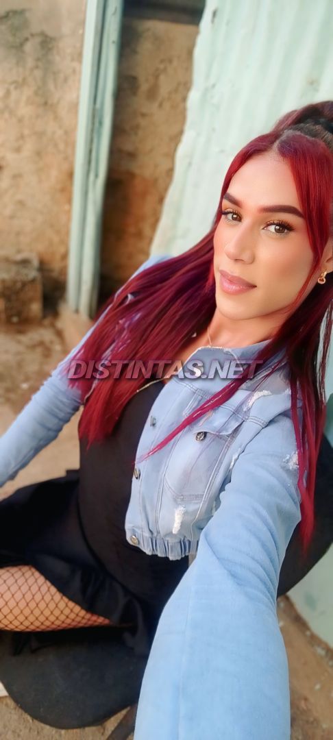 danii