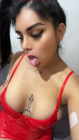 Harlet torres