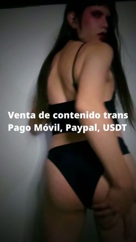 VIvi Magica