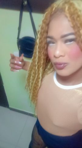 Camilita 