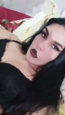 Dar
