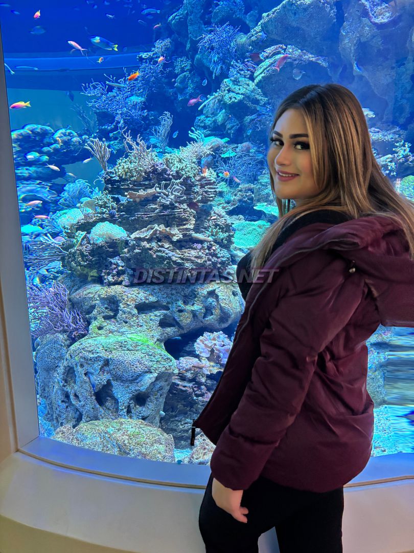 Ericka Bolca