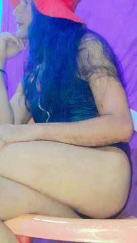 Paloma bb