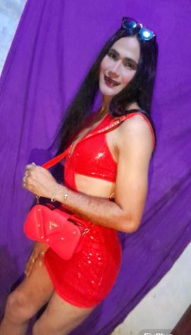 Paloma bb