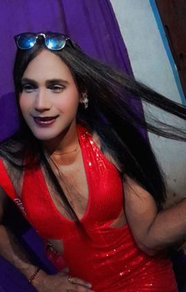 Paloma bb