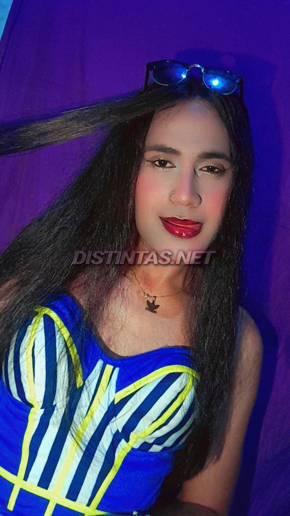 Paloma bb