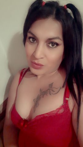 Brisa 