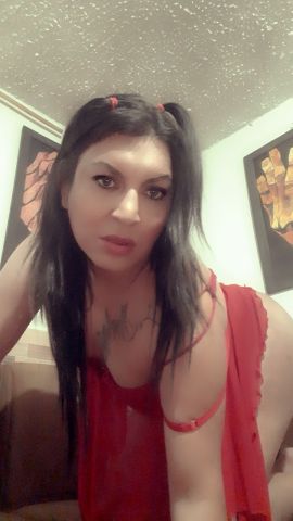 Brisa 