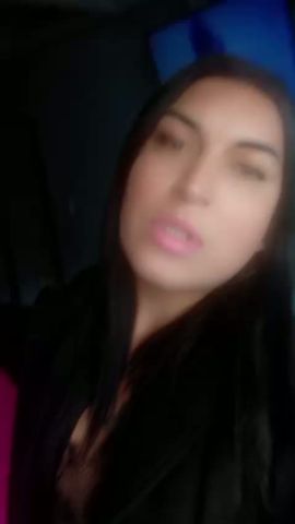 Brisa 