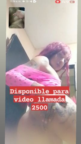 Vane Souza