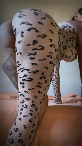 Thay22cm