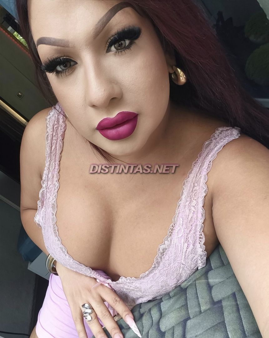 Dannielyz 