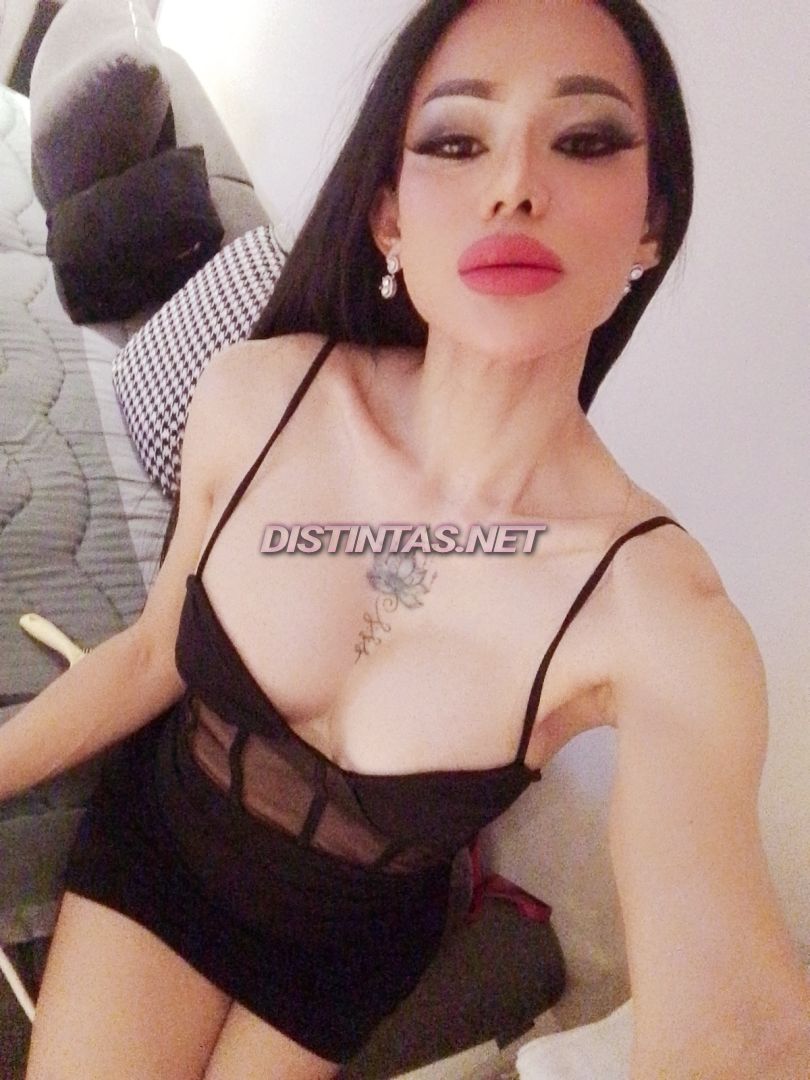 ISABHELA