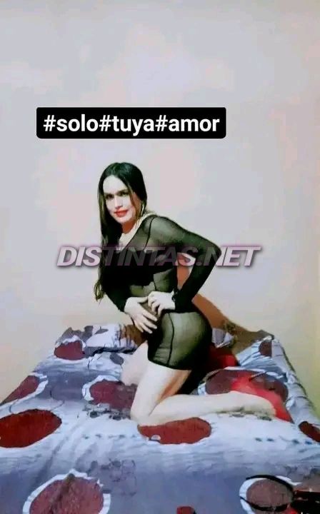 Renata trans
