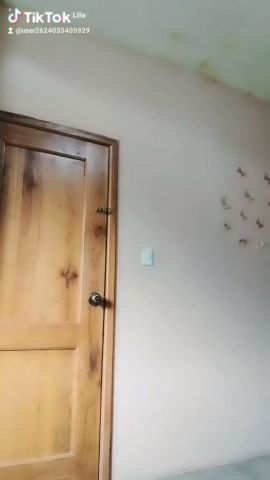 Mónica Frecita viral