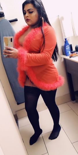 Angélica trans