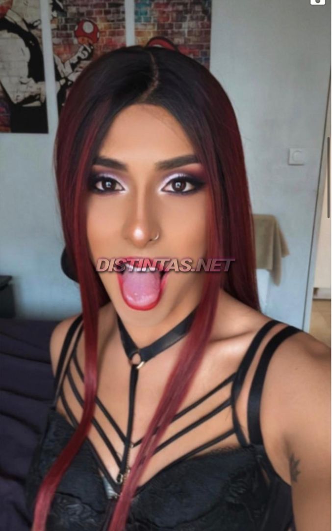 BIANCA XL DOMINANT 