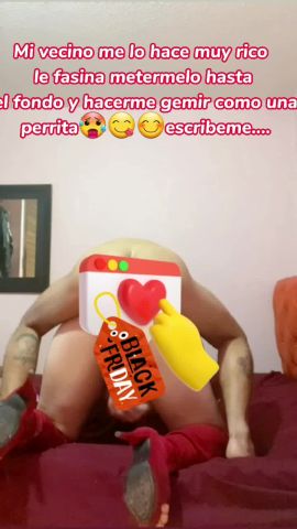 Danna Trans Caserita y Natural 