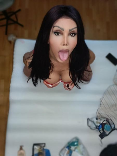 Trans TsLadies Fefinha Cavalona  in Alfeld