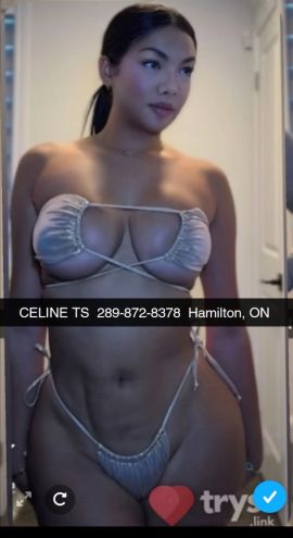 Ts Celine