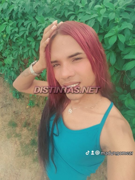 Willesis