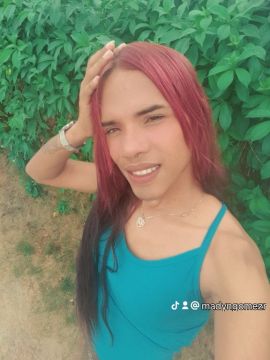 Willesis