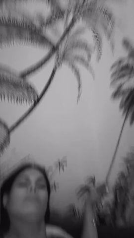 Nikol Patty