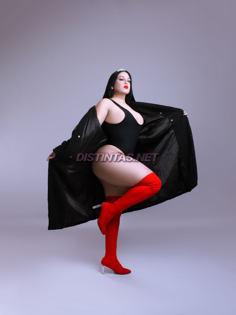 FEFITA STUDIO