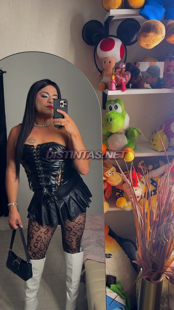 Stefani 