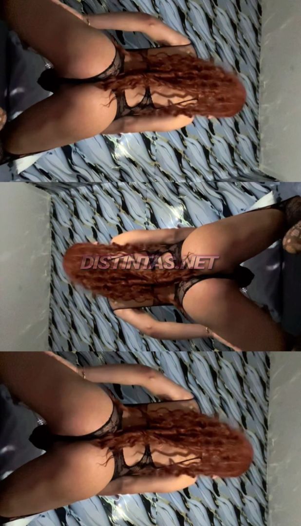 Dany Pandora 