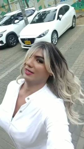 La mariposa 