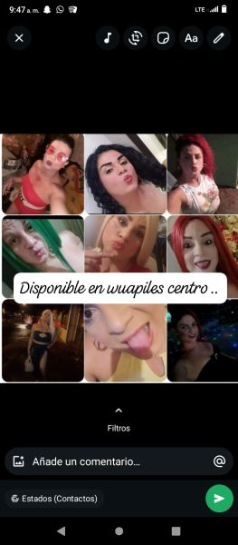 Escorts Trans PATRICIA DOTADA XXL en Limón