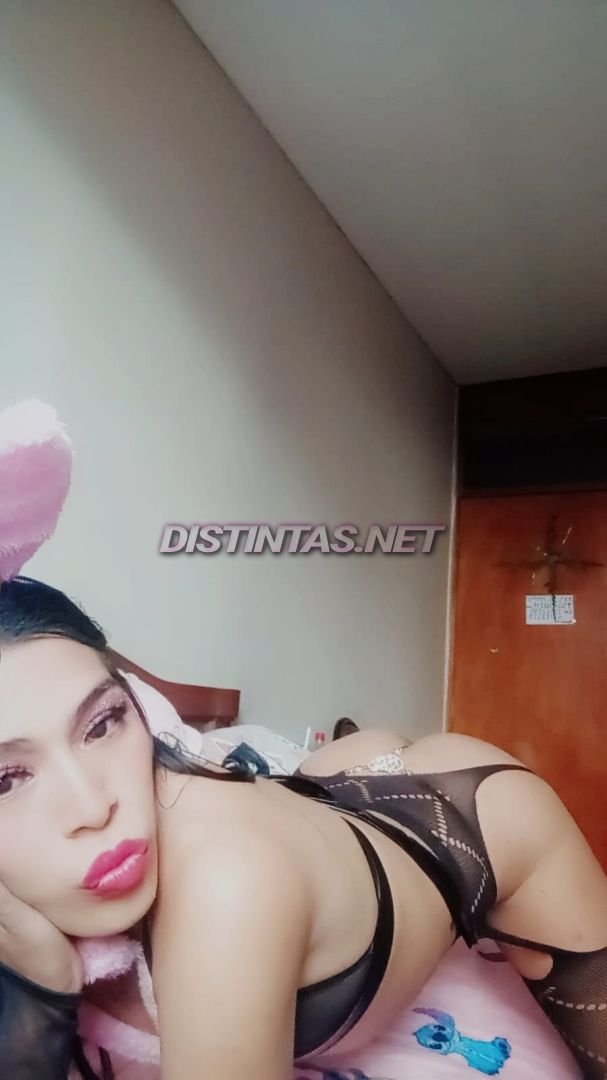 SIREYA